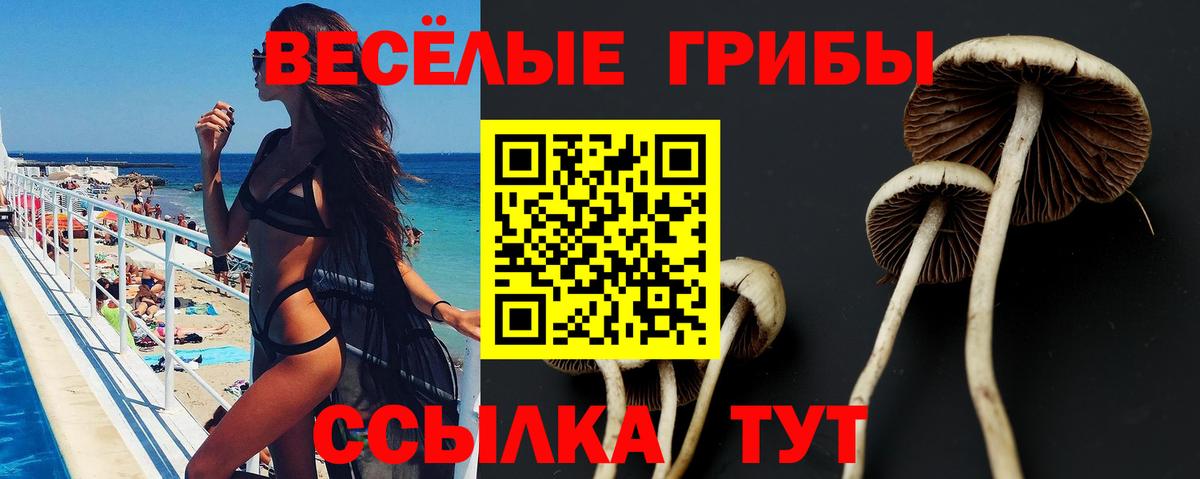 Аргун  Галлюциногенные грибы мухоморы  Вход с VPN 