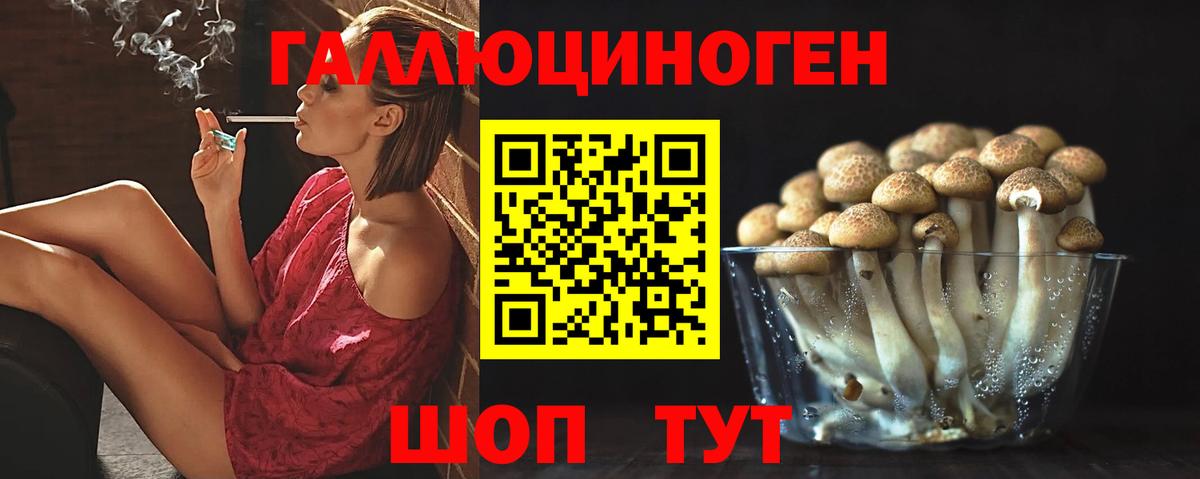 Псилоцибиновые грибы Cubensis Аргун