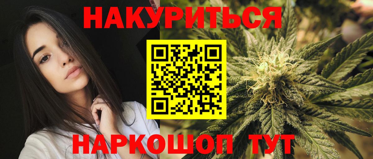 Каннабис конопля  Марихуана сатива  Вход с VPN  Аргун 